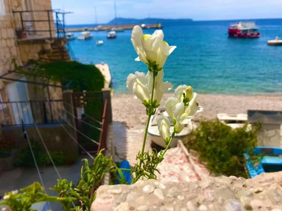 Zanicovo Beach Apartment コミジャ エクステリア 写真